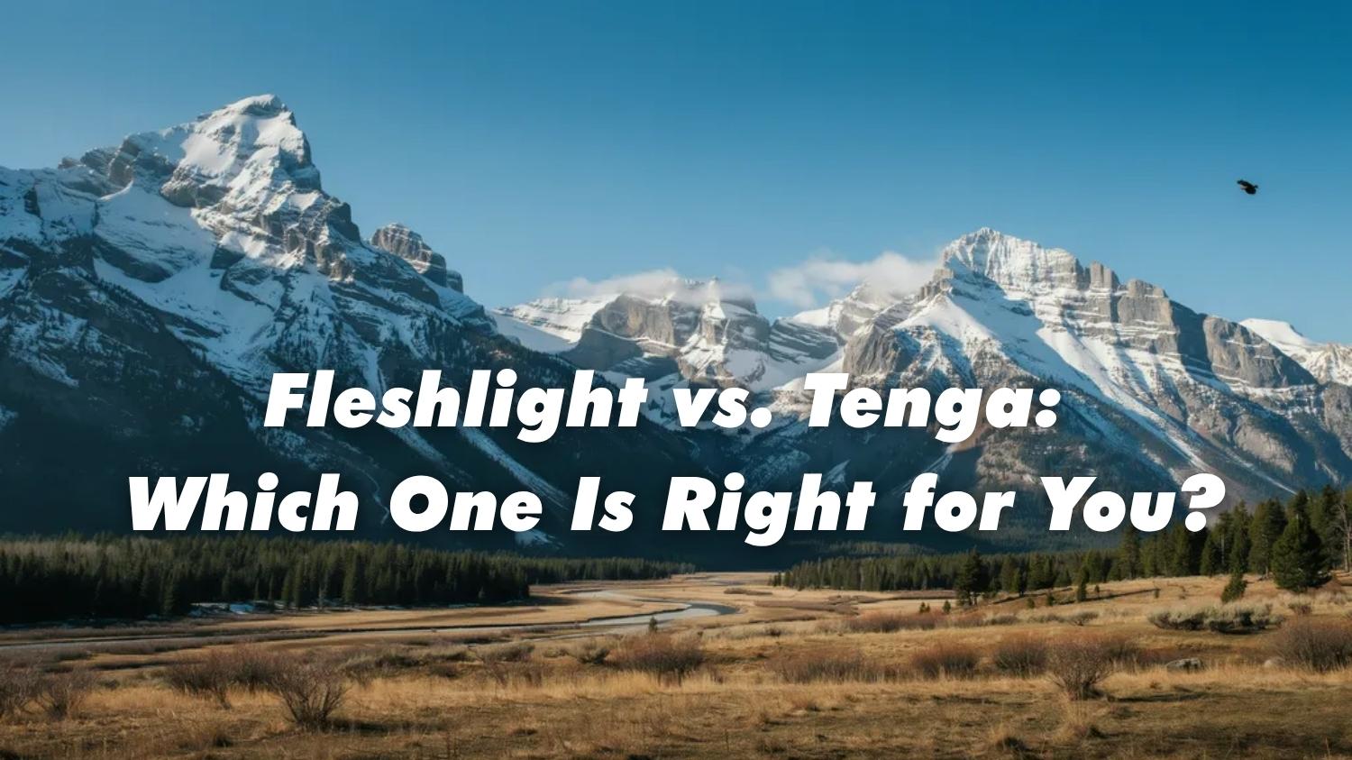 Fleshlight vs. Tenga: Which Male Masturbator Wins in 2026?